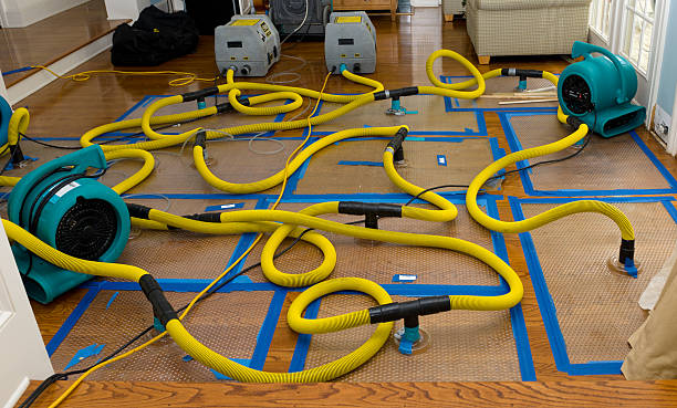 Professional Basement Flood Cleanup technician working in Lukachukai, AZ